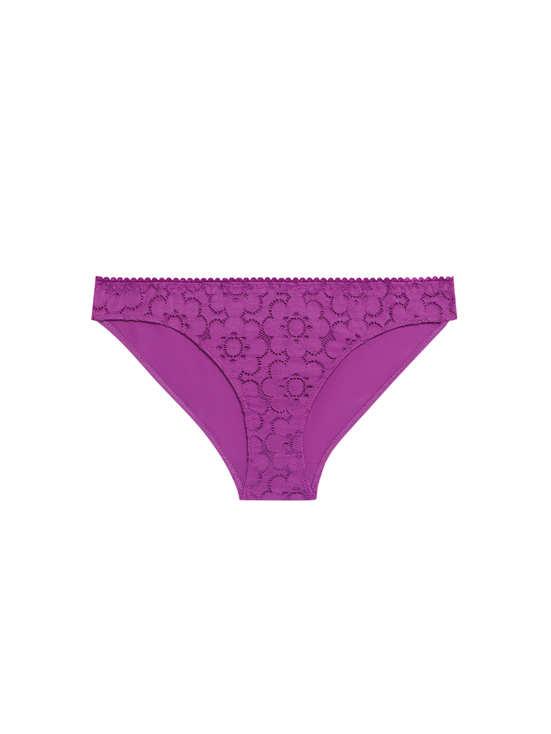 Culotte - Violet Divine