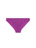 Culotte - Violet Divine