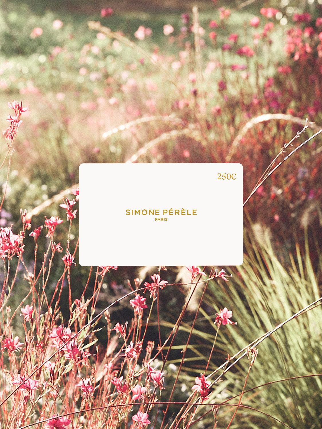 E-CARTE CADEAU